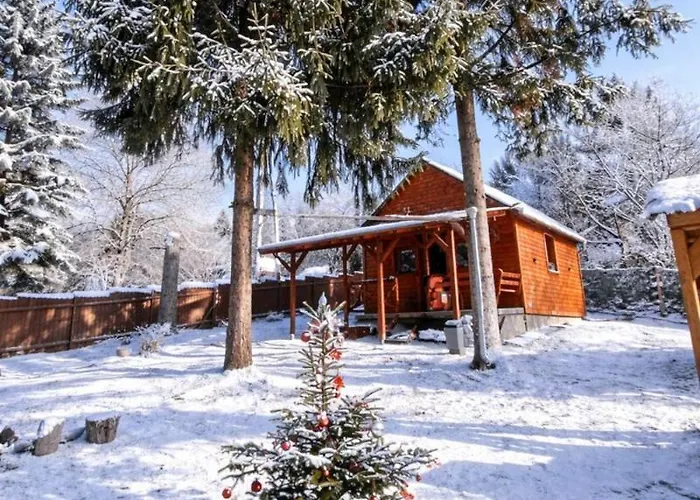 Galagonya Vendeghaz-hegyvideki Szallashely * Salgótarján